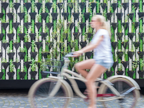 Žena na bicykli prechádza popred stenou osadenou rastlinami