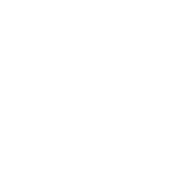 bim.png