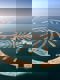 Palm Jumeirah Tunnel, Dubai8/5