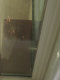 Promat®-SYSTEMGLAS horizontalno protupožarno ostakljenje u Kempinski Palace Hotelu u Portorožu