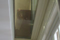Promat®-SYSTEMGLAS 30 geamuri rezistente la foc în interiorul Kempinski Palace Hotel Portoroz