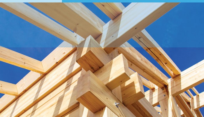 medinių konstrukcijų gaisrinė sauga