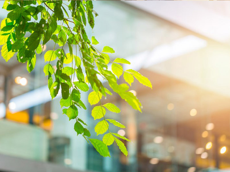 Zrównoważony rozówj