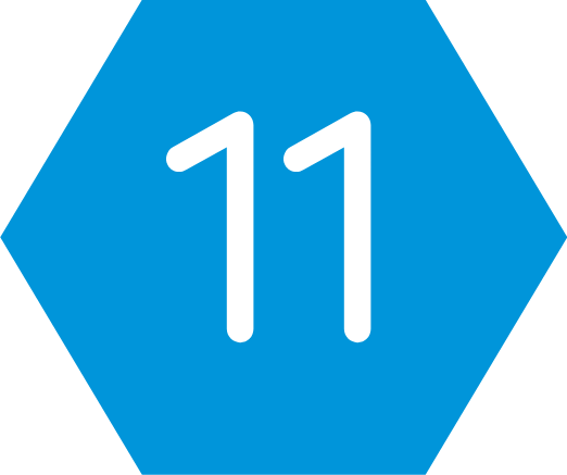 Cel 11