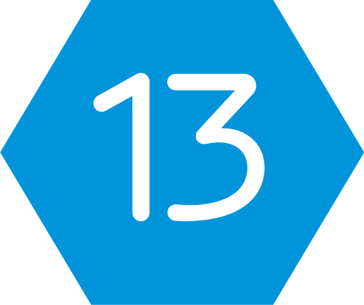Cel 13
