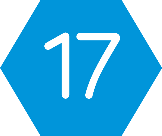 Cel 17