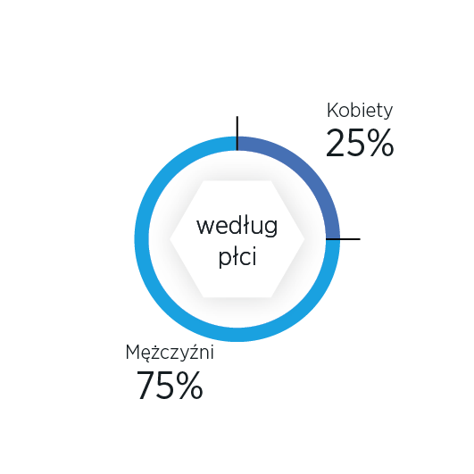 Komitet Wykonawczy według płci infografika