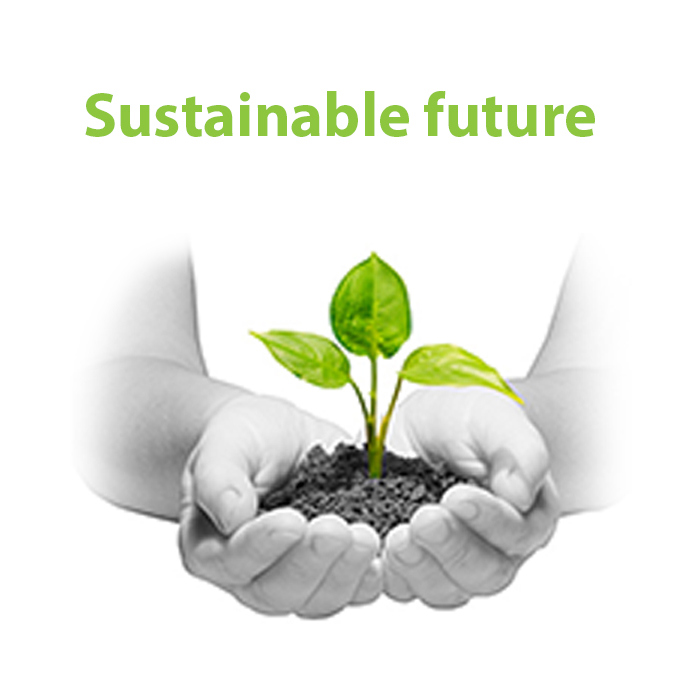 Sustainable Future