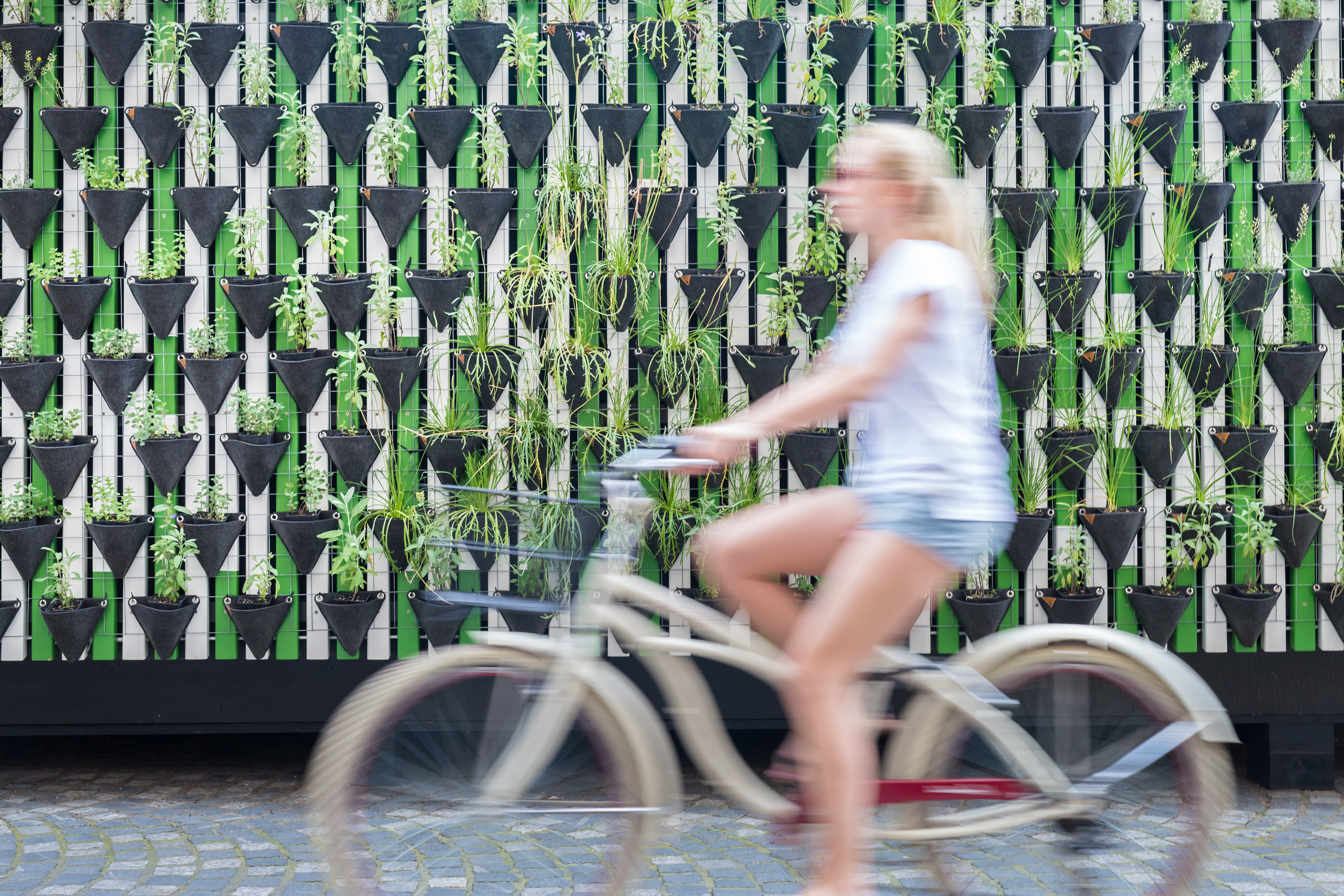 Zamegljena slika ženske osebe v svetlih kratkih hlačah in majici, ki se vozi na belem kolesu, za ozadje pa so postavljena čez celo stene rjava korita z rožami in zeleno bele lesene deščice. 
