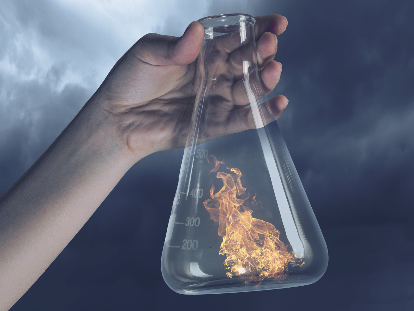 Nasz wiedza specjalistyczna