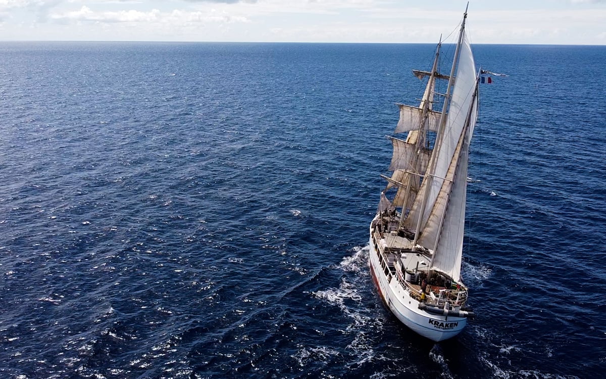 Promat supports ocean cleanup with donation to Wings of the Ocean