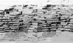 The effect of fire - Concrete spalling