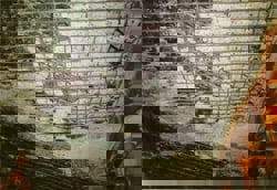 The effect of fire - Concrete spalling
